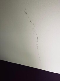 Mold on ceiling.