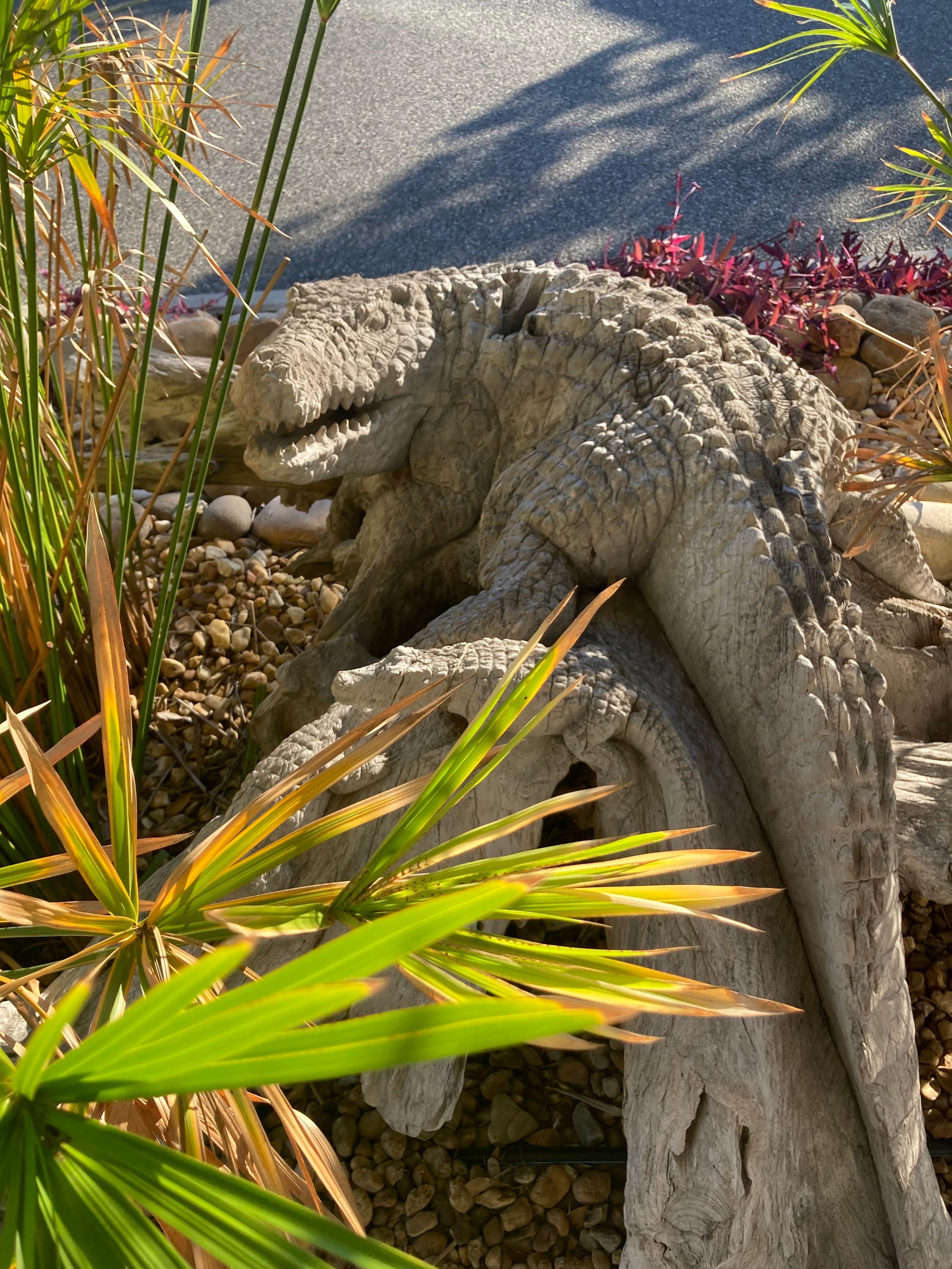 Wood sculpture of an alligator! 