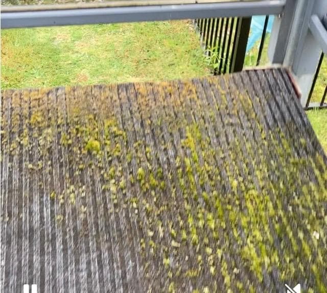 This is the stair case going up to the next level. It is carpet???? And covered in moss. Very slippery 