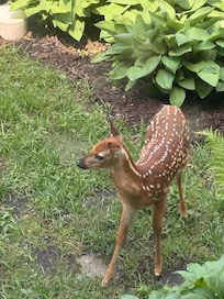 Right outside one of the doors