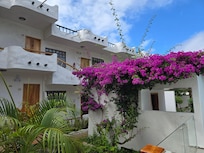 The view from the pool