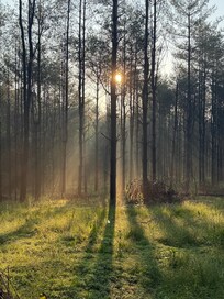 Morning day break on the property