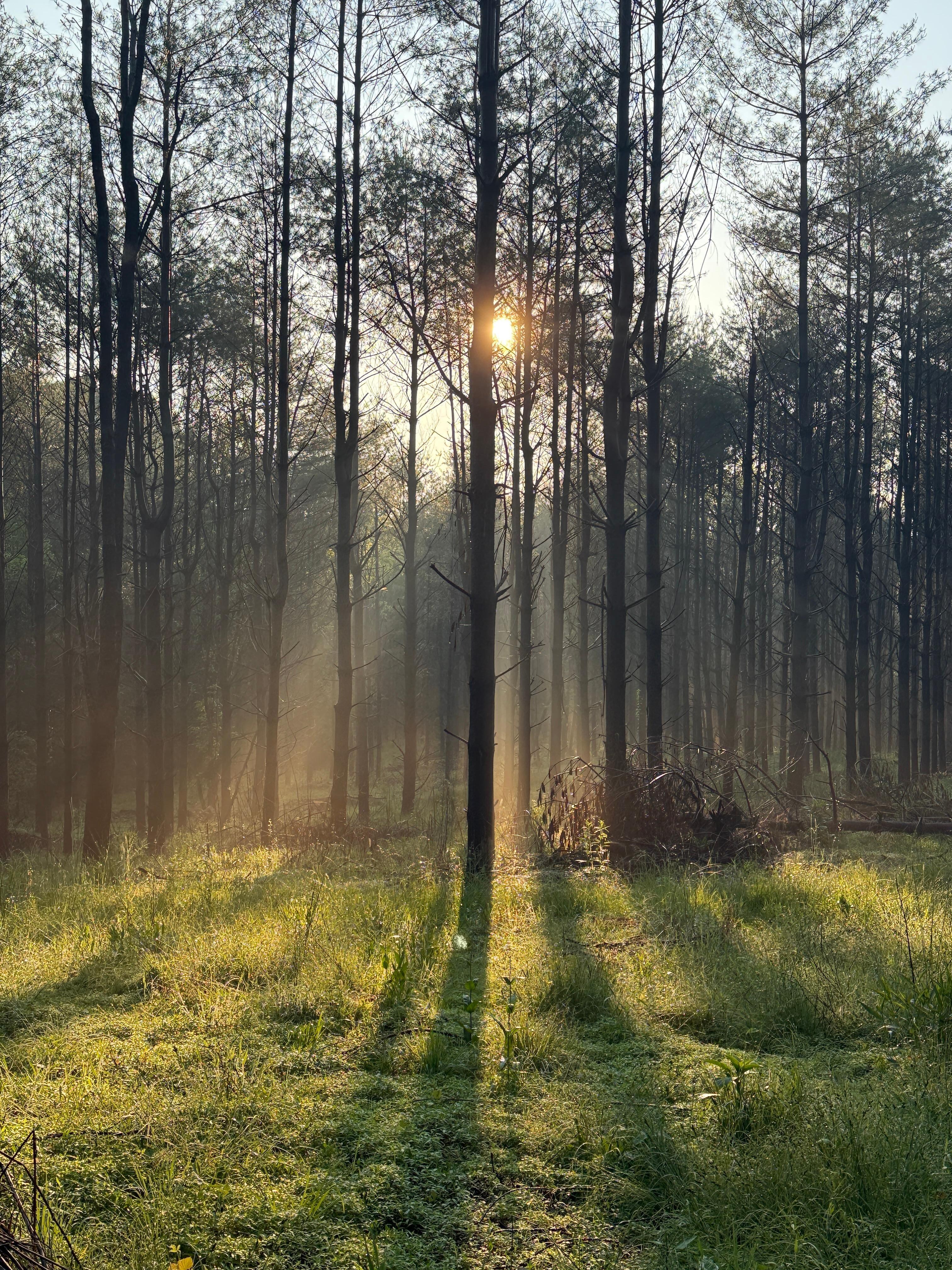 Morning day break on the property