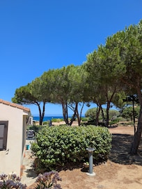 Vue de la terrasse