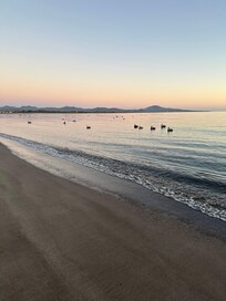 Nos encantaron las aves pescando en el mar