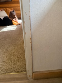 Banged up doorways and hallways.