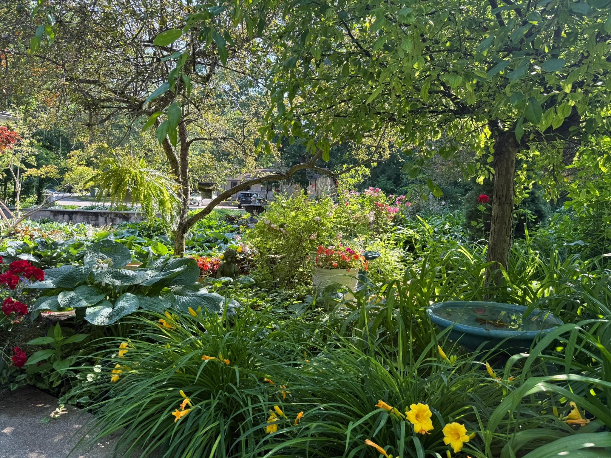 Flower Garden