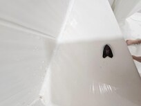 Dead moth in shower