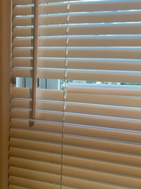 More than one window had broken blinds.