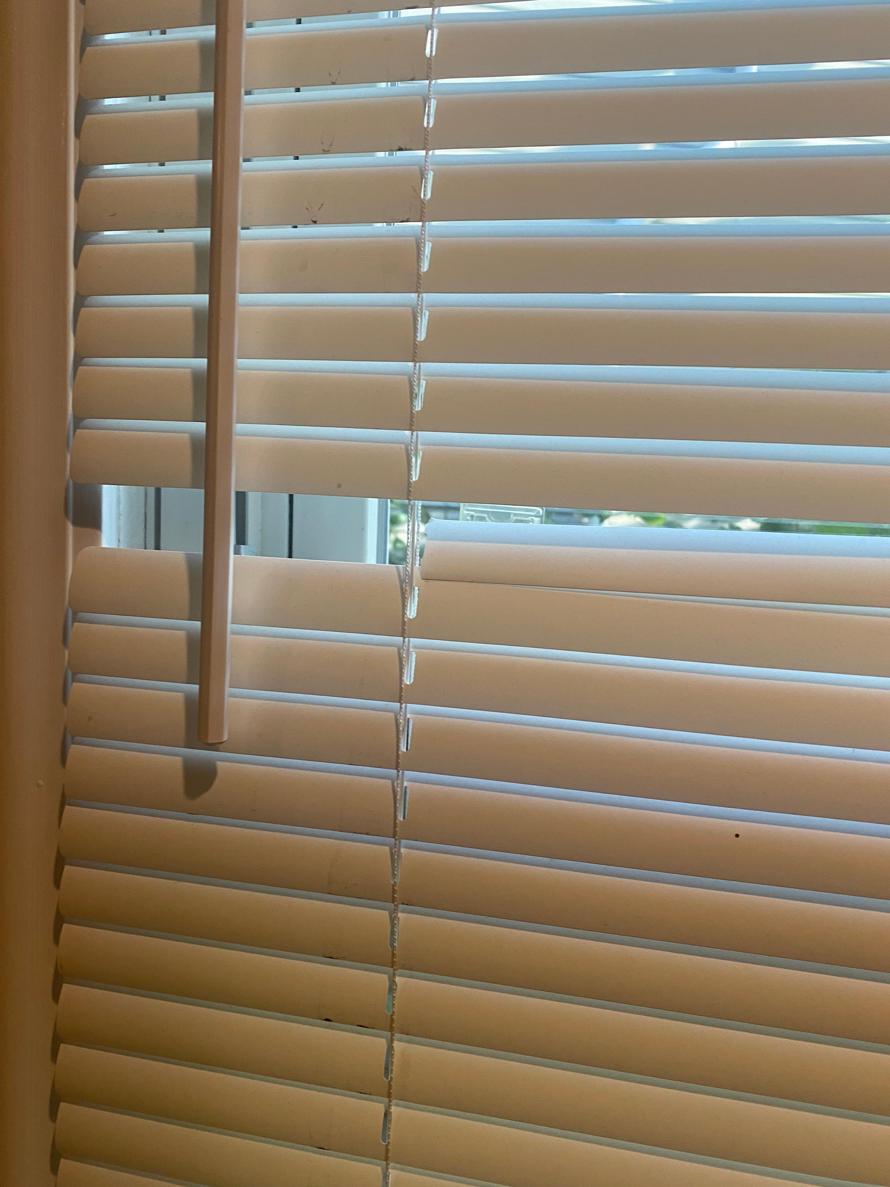 More than one window had broken blinds.