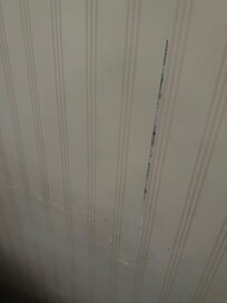 MOLD!