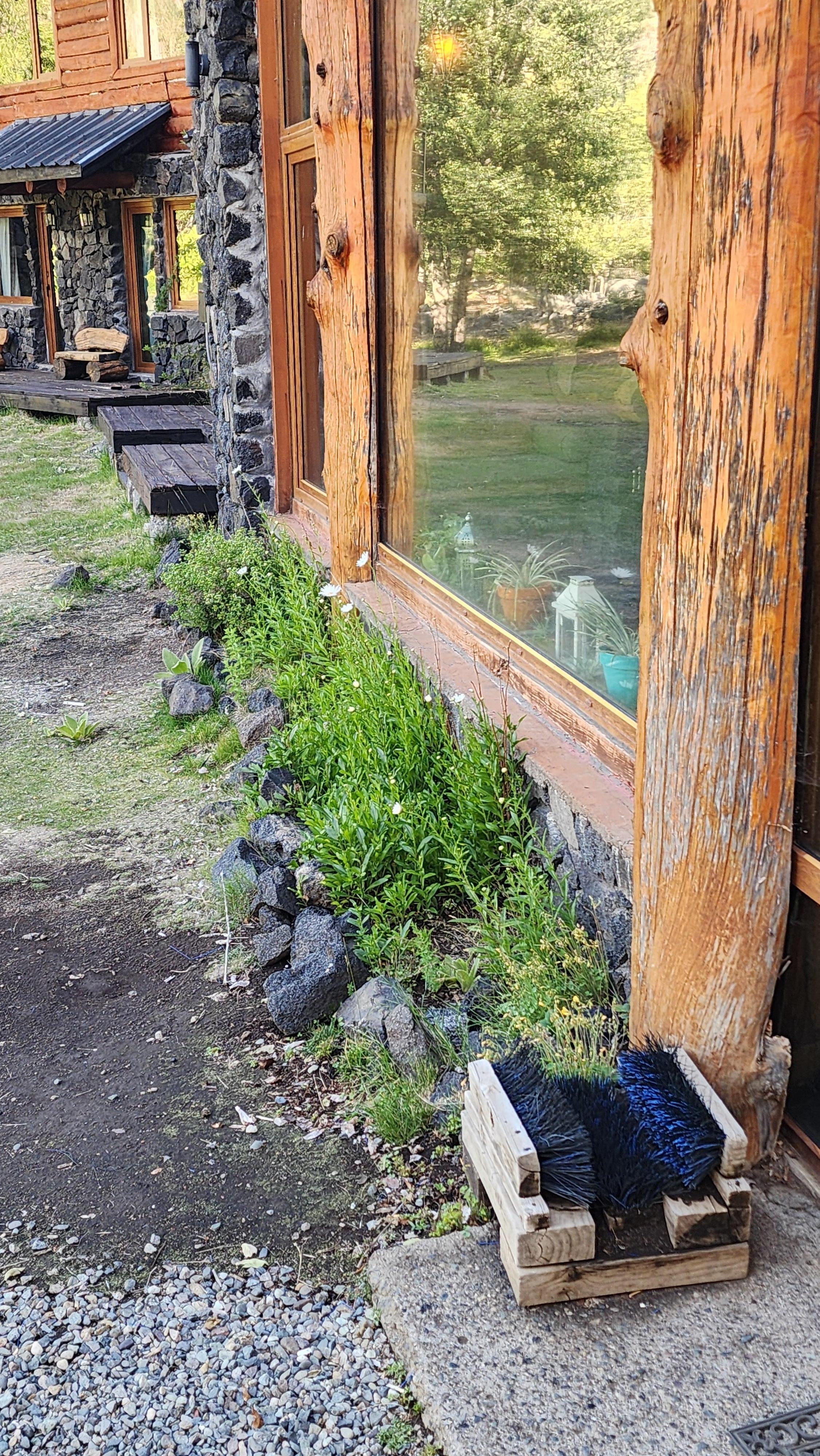 Grounds surrounding main lodge