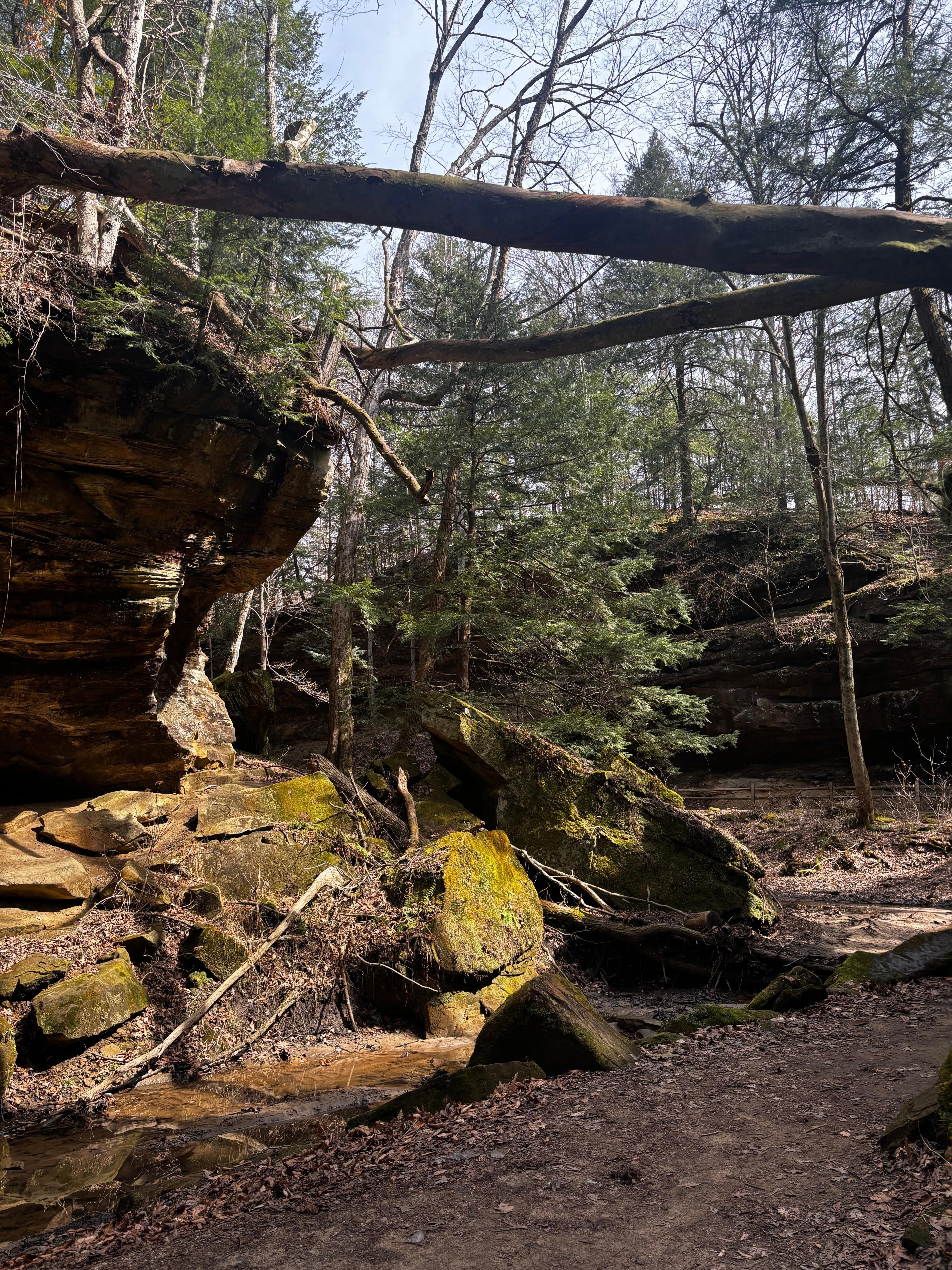 Turkey Run State Park 