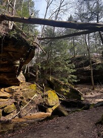 Turkey Run State Park