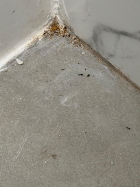 Example of dirty floor. It was like this throughout