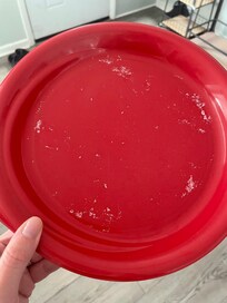Dirty plate when we arrived