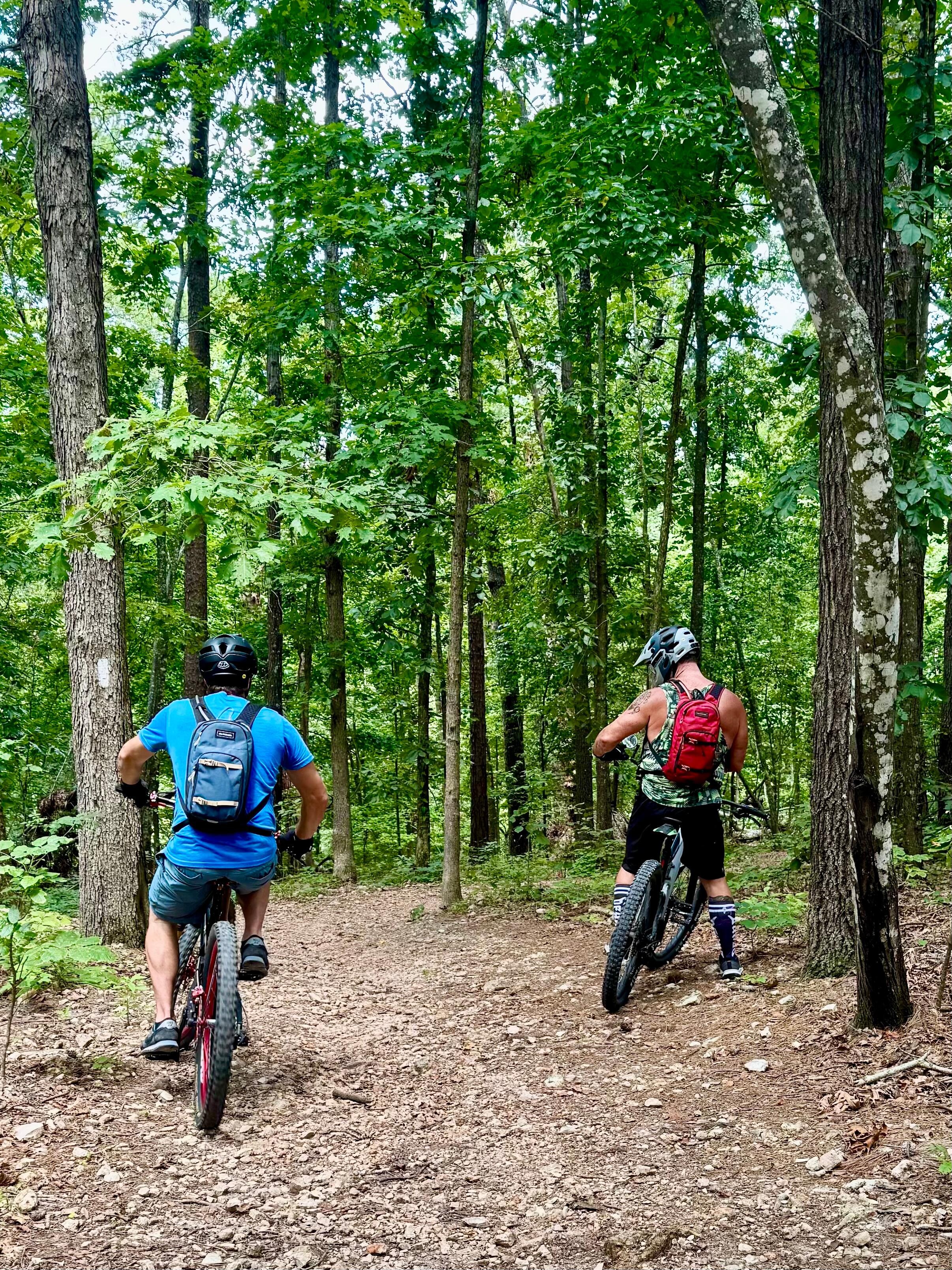 Mountain biking 
