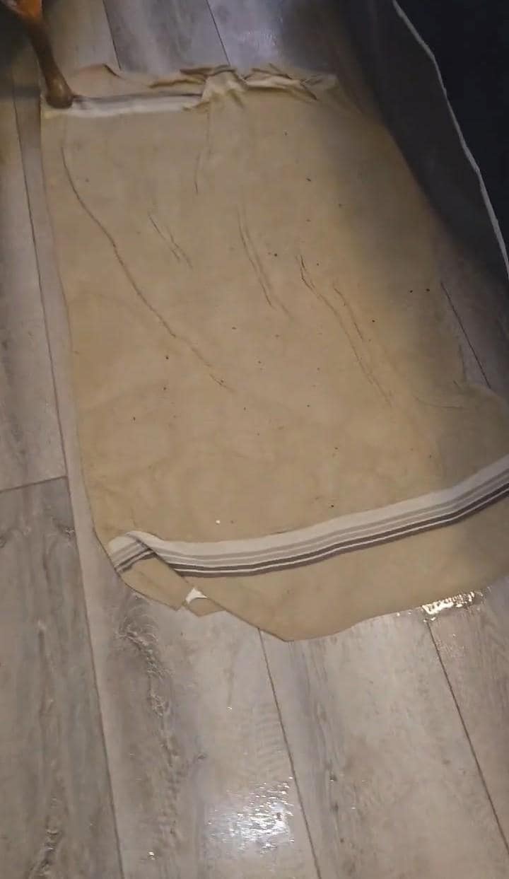 Puddles of water in bedroom everyday