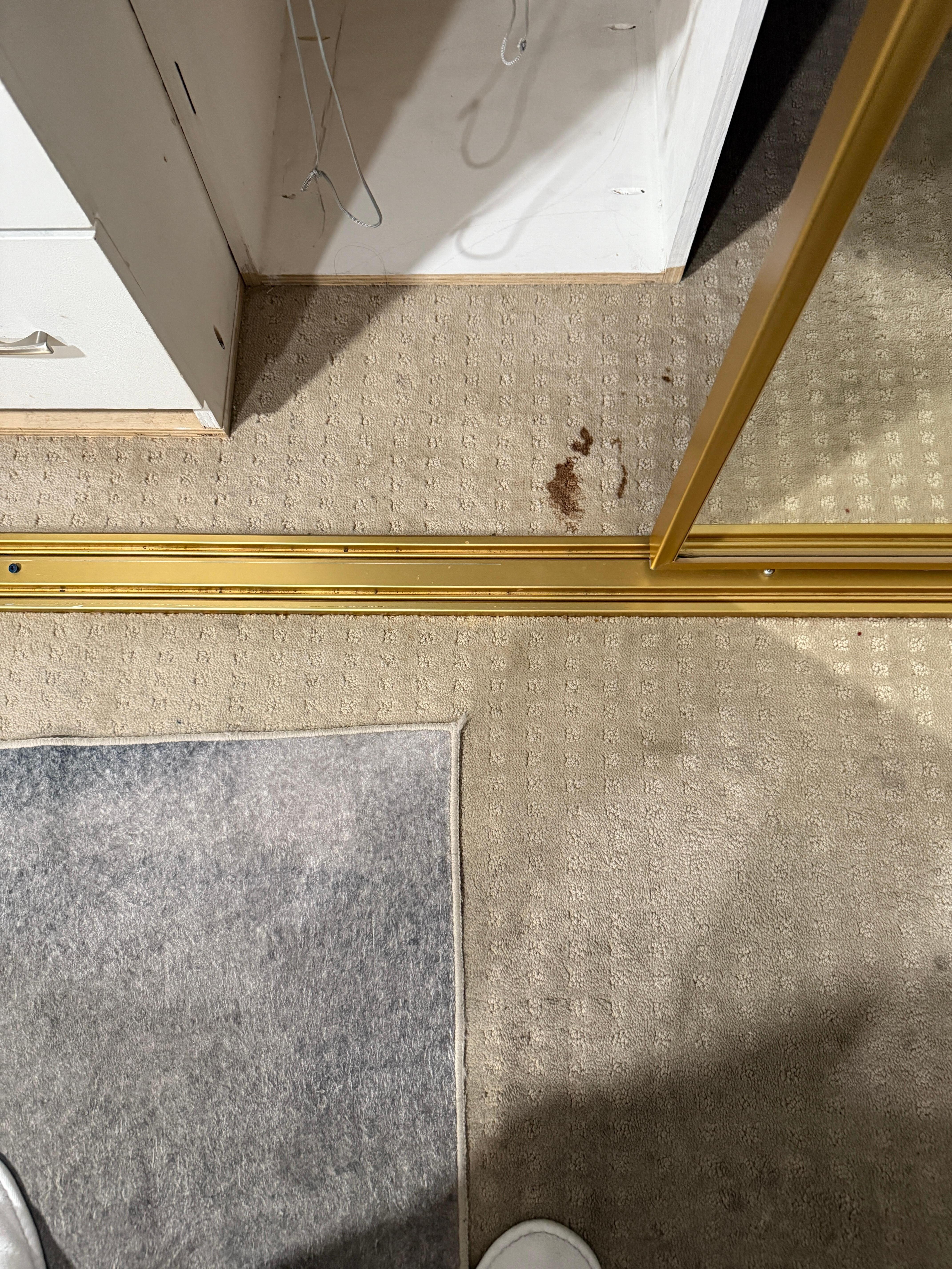 stained carpet in closet