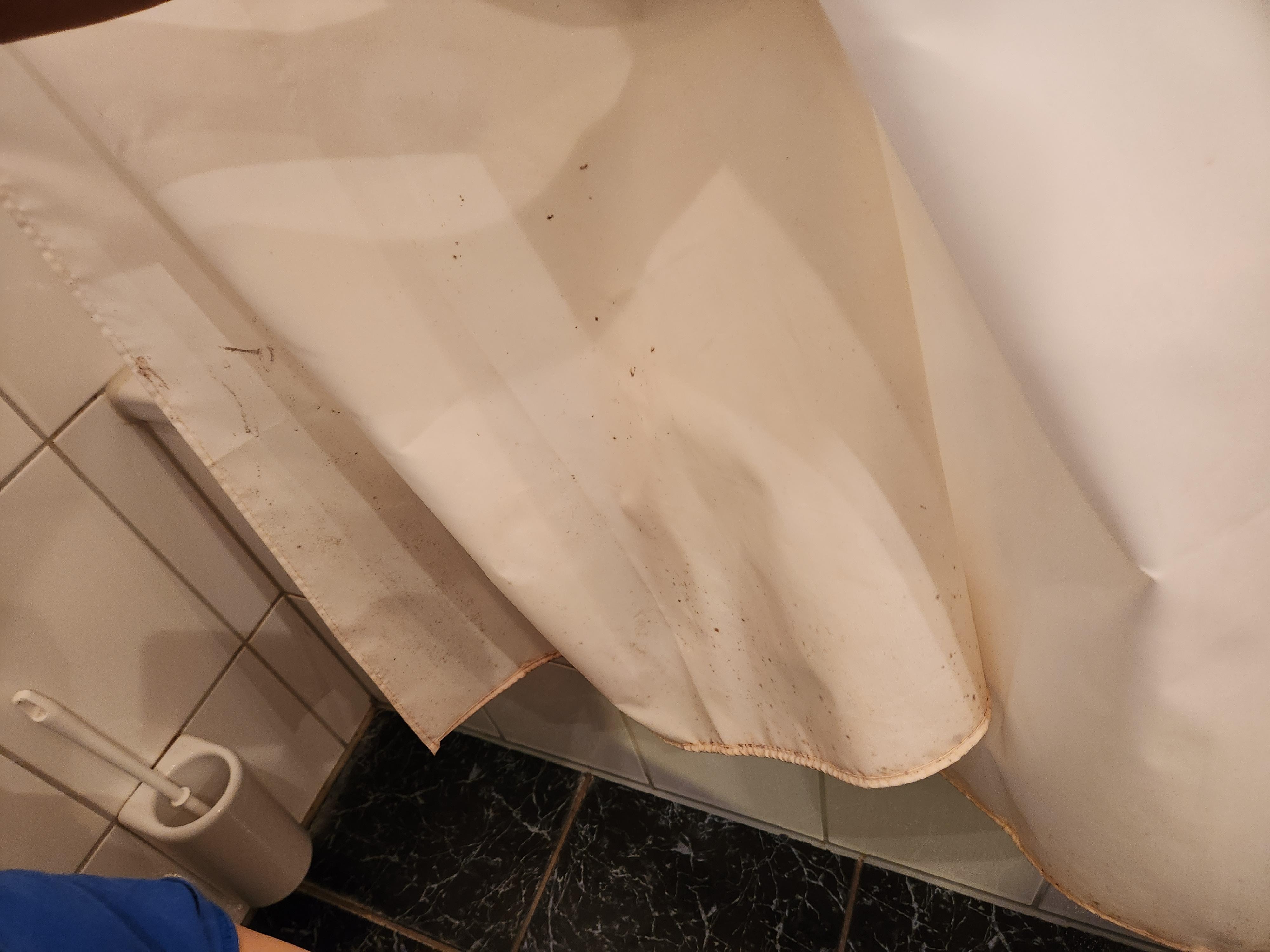 Dirty shower curtain