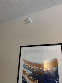 Sprinkler covered