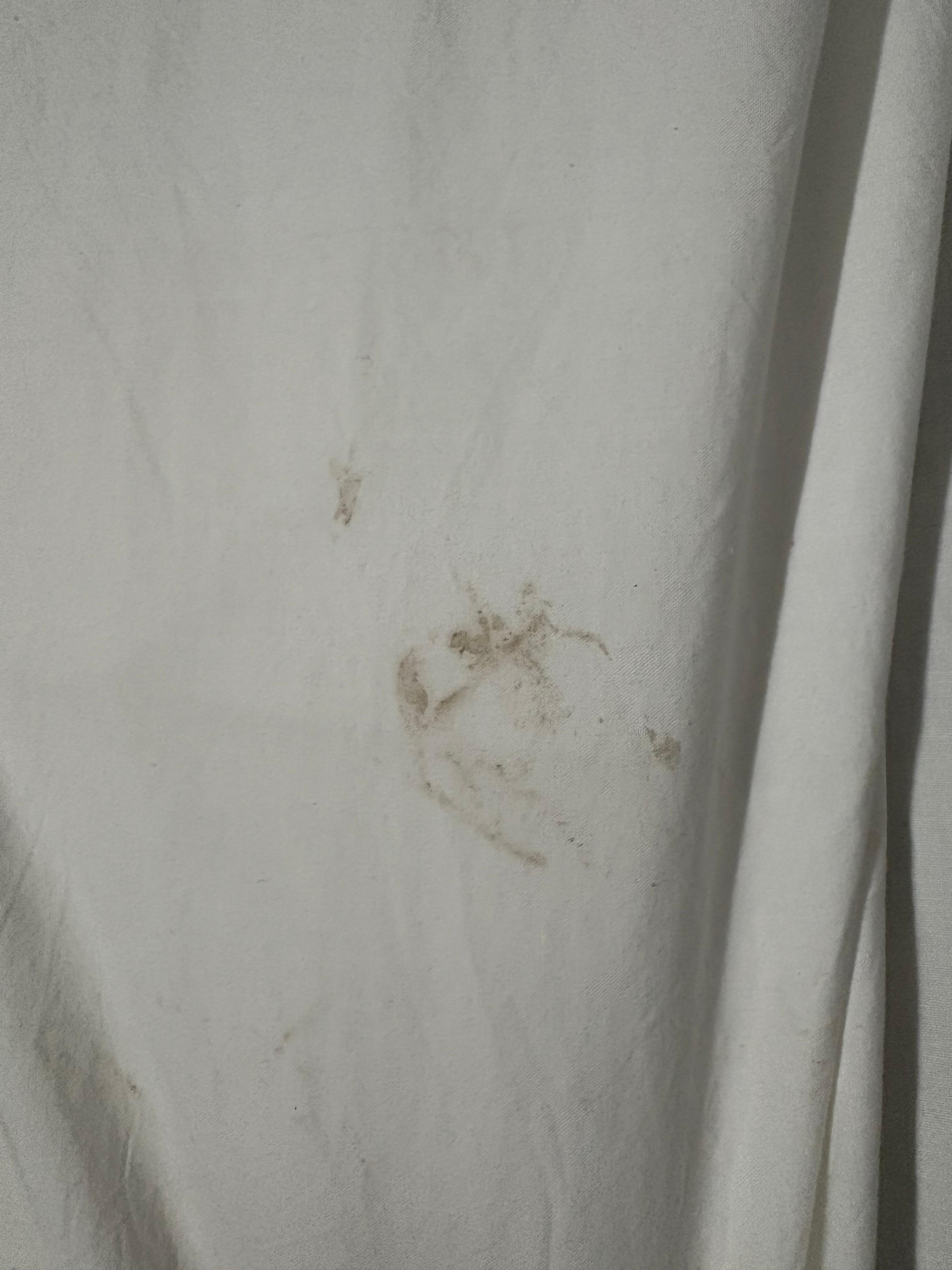 Free stains in this VRBO! 