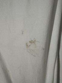Free stains in this VRBO!