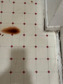 dirty and leaky bathroom floor
