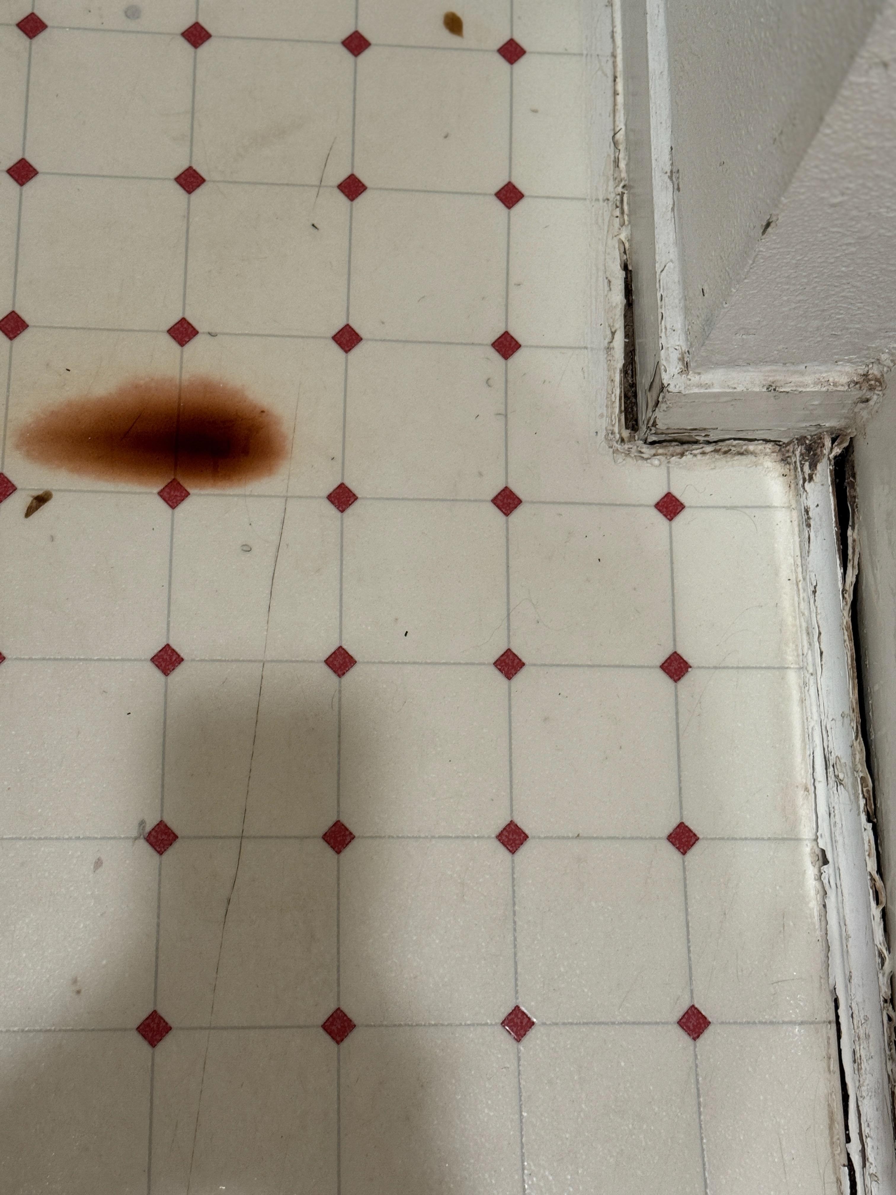 dirty and leaky bathroom floor
