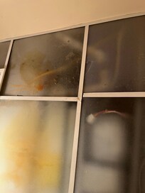 Ceiling Tiles in Bathroom