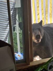 Just came by to say "hello"