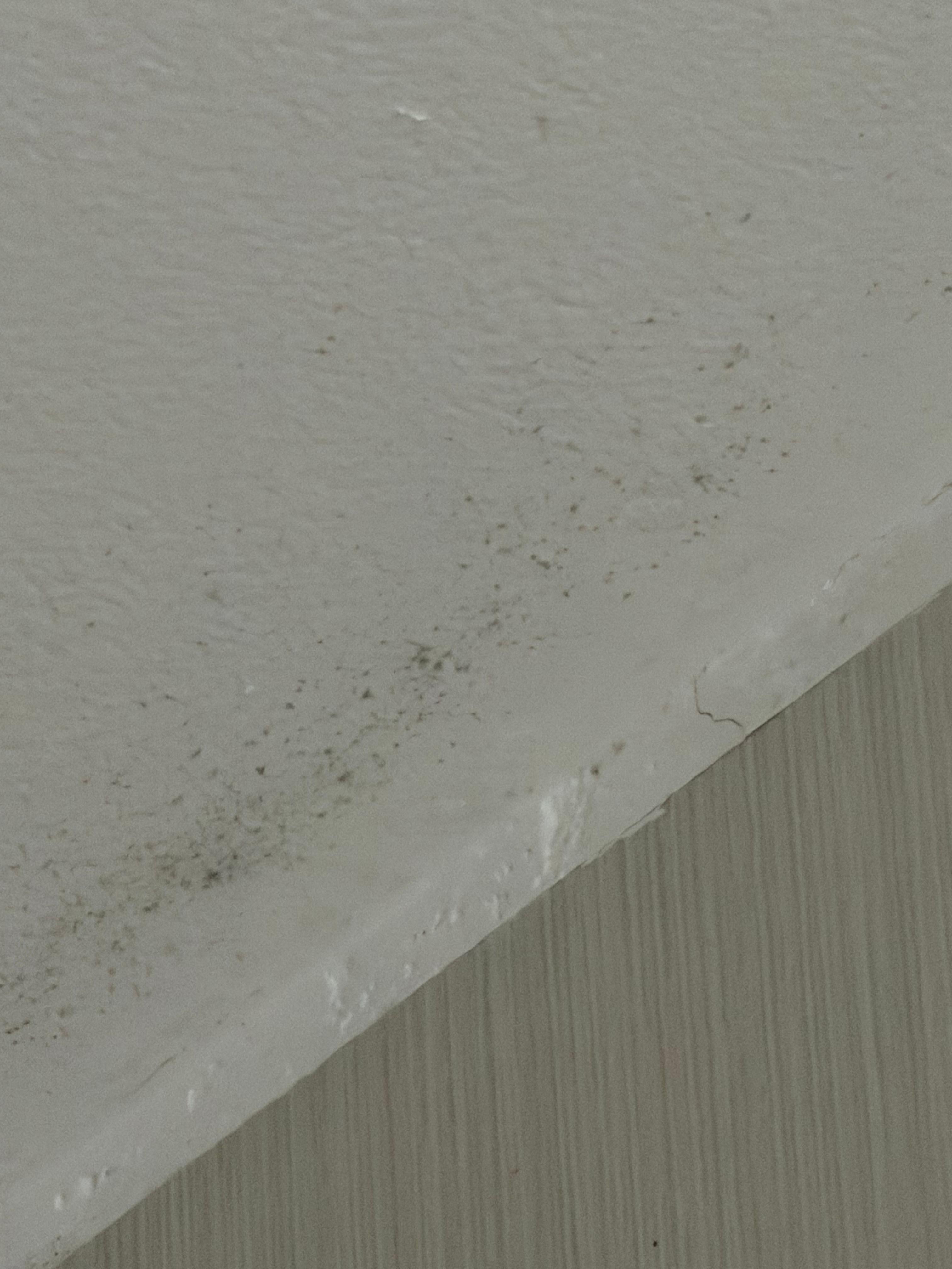 Mold in the shower. 