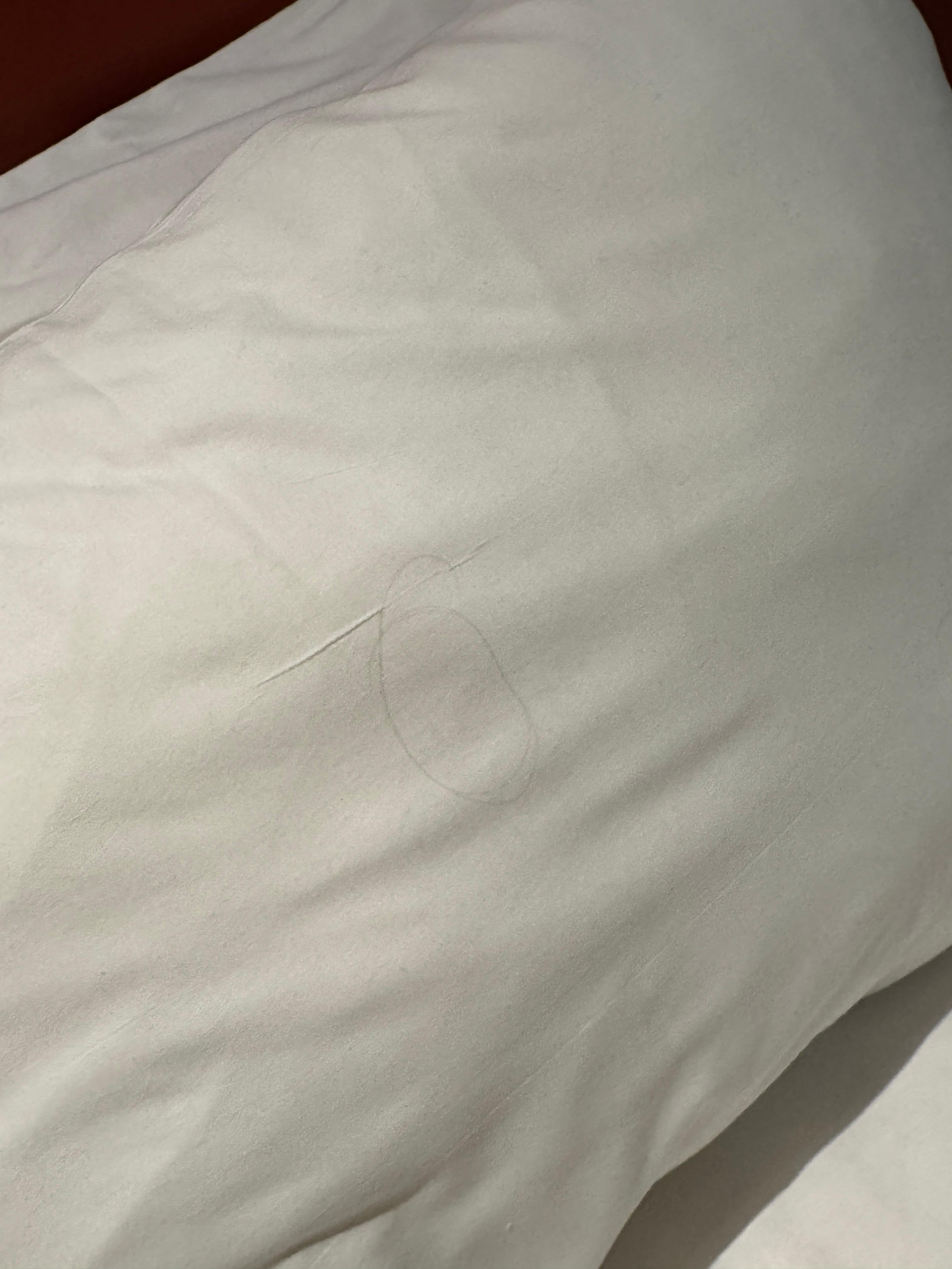 Another persons hair on bed