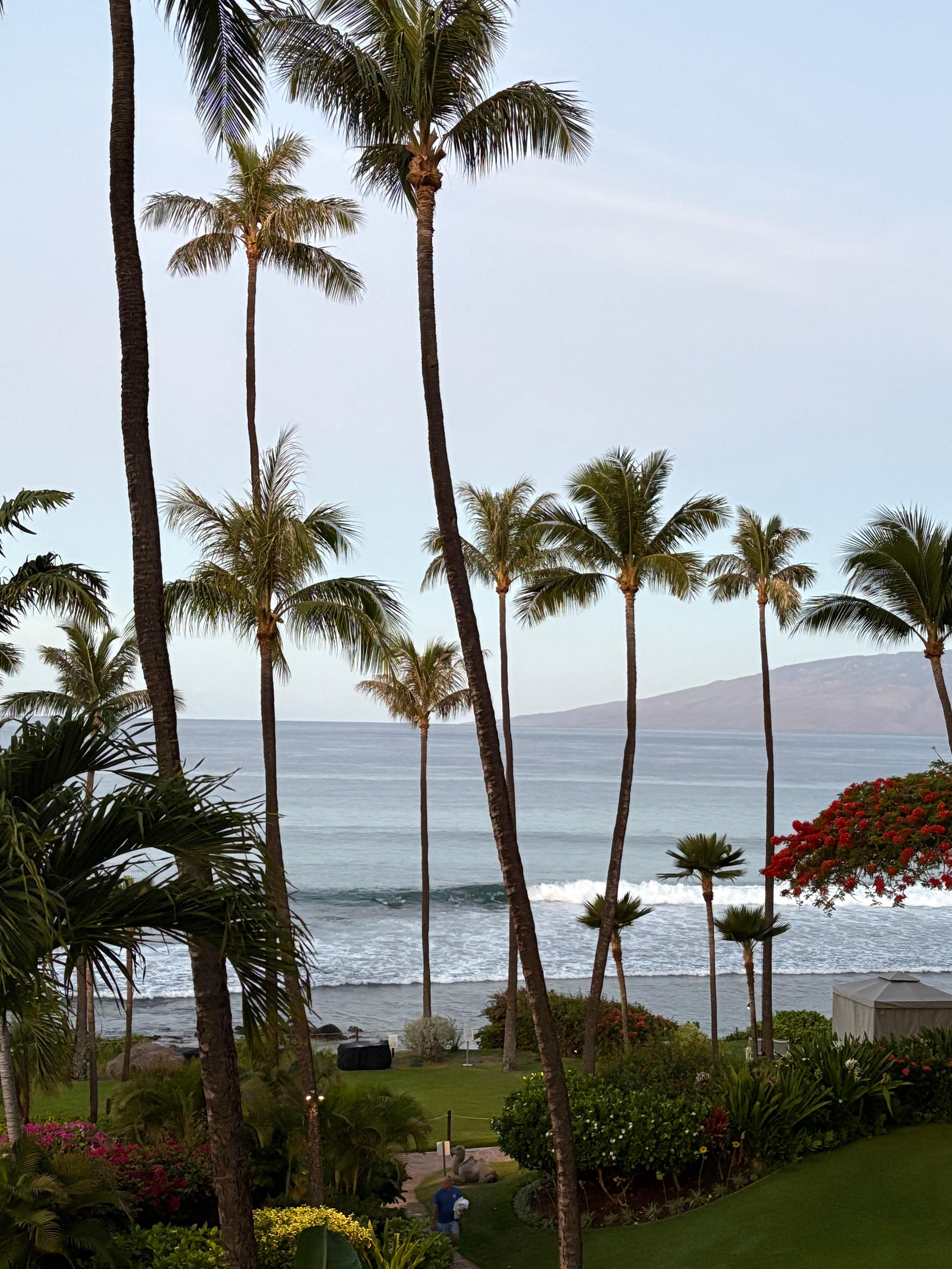 Ocean view room