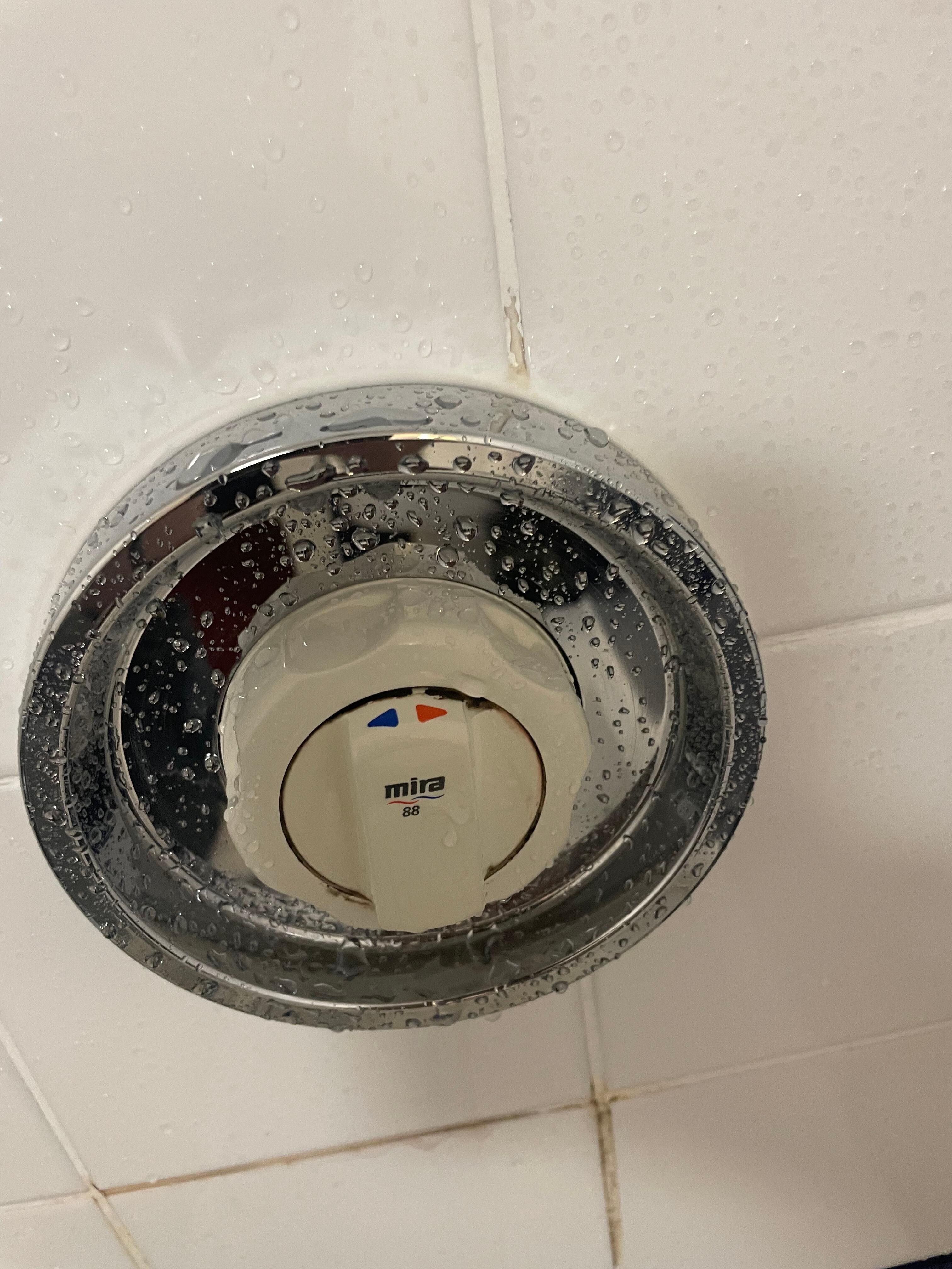 Mouldy shower control all photos are from room no 204.( we have stayed in the Celtic Royal several times over 10 years and this time we have noticed the standard of hygiene even in the    Bar and bar toilets)