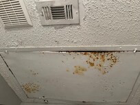 Rust looks like its falling