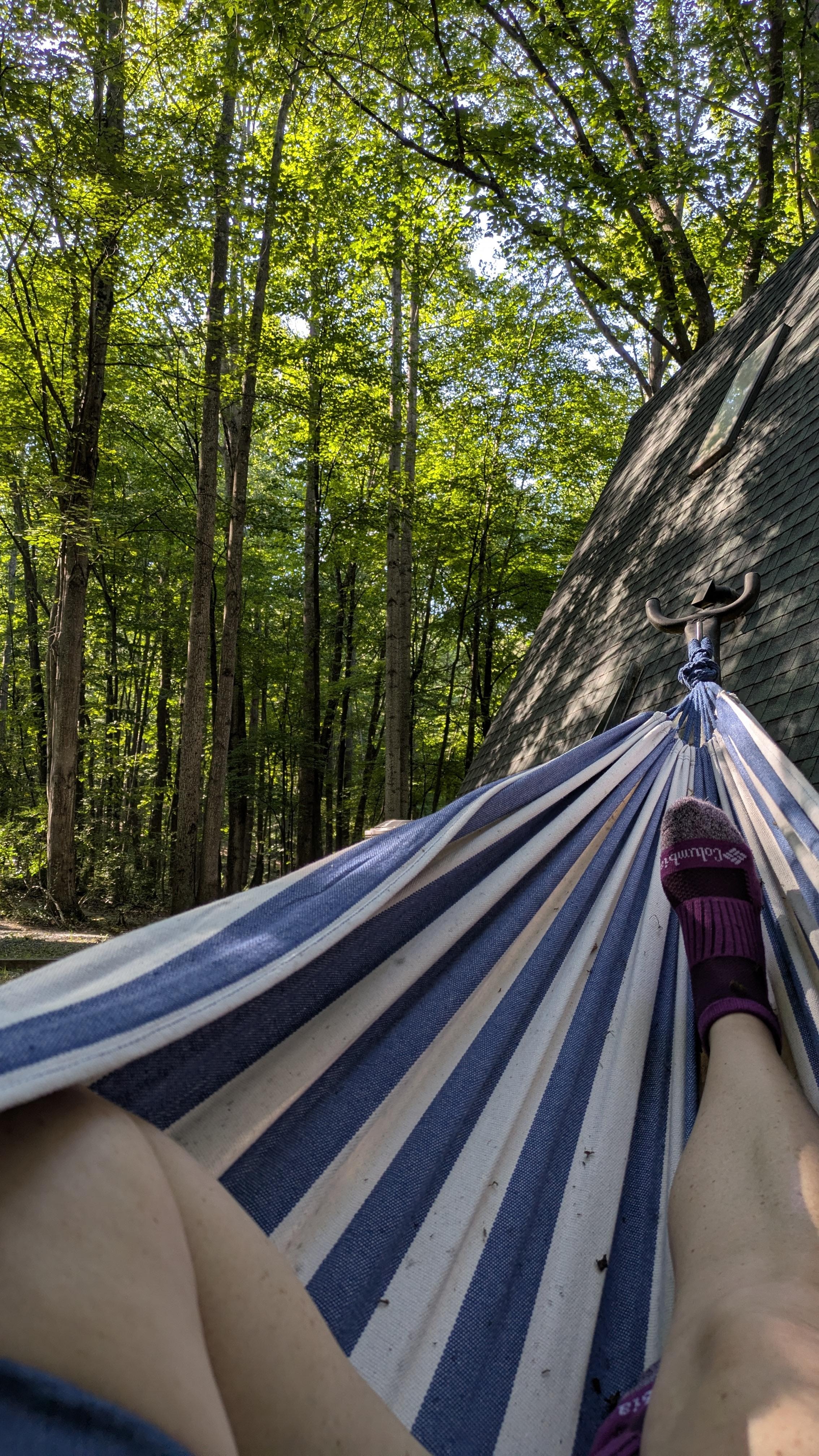 The other view from the hammock 