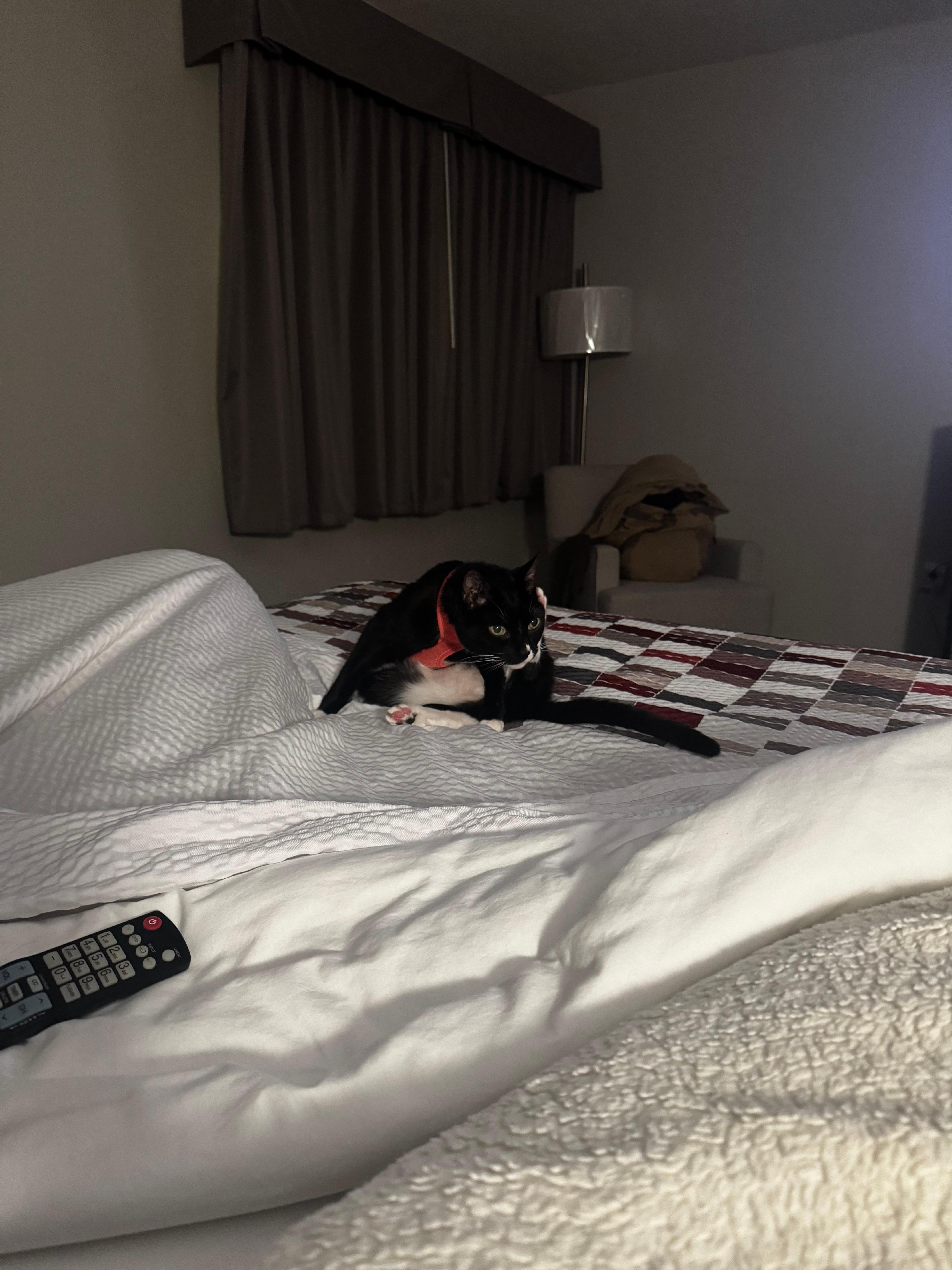 Jerry likes a king size bed!