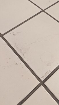 Hair and dirty bathroom floor