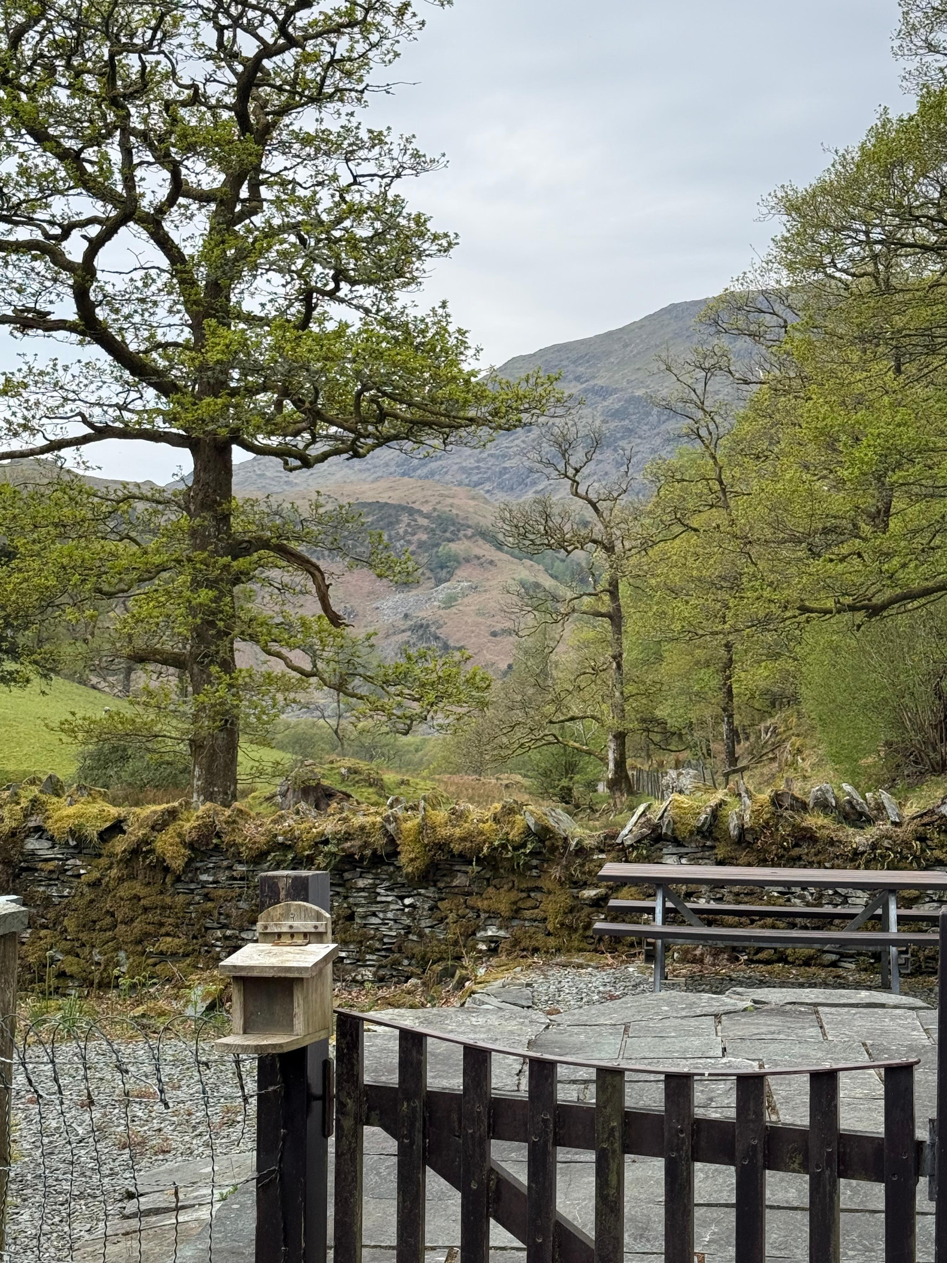 View from the garden 