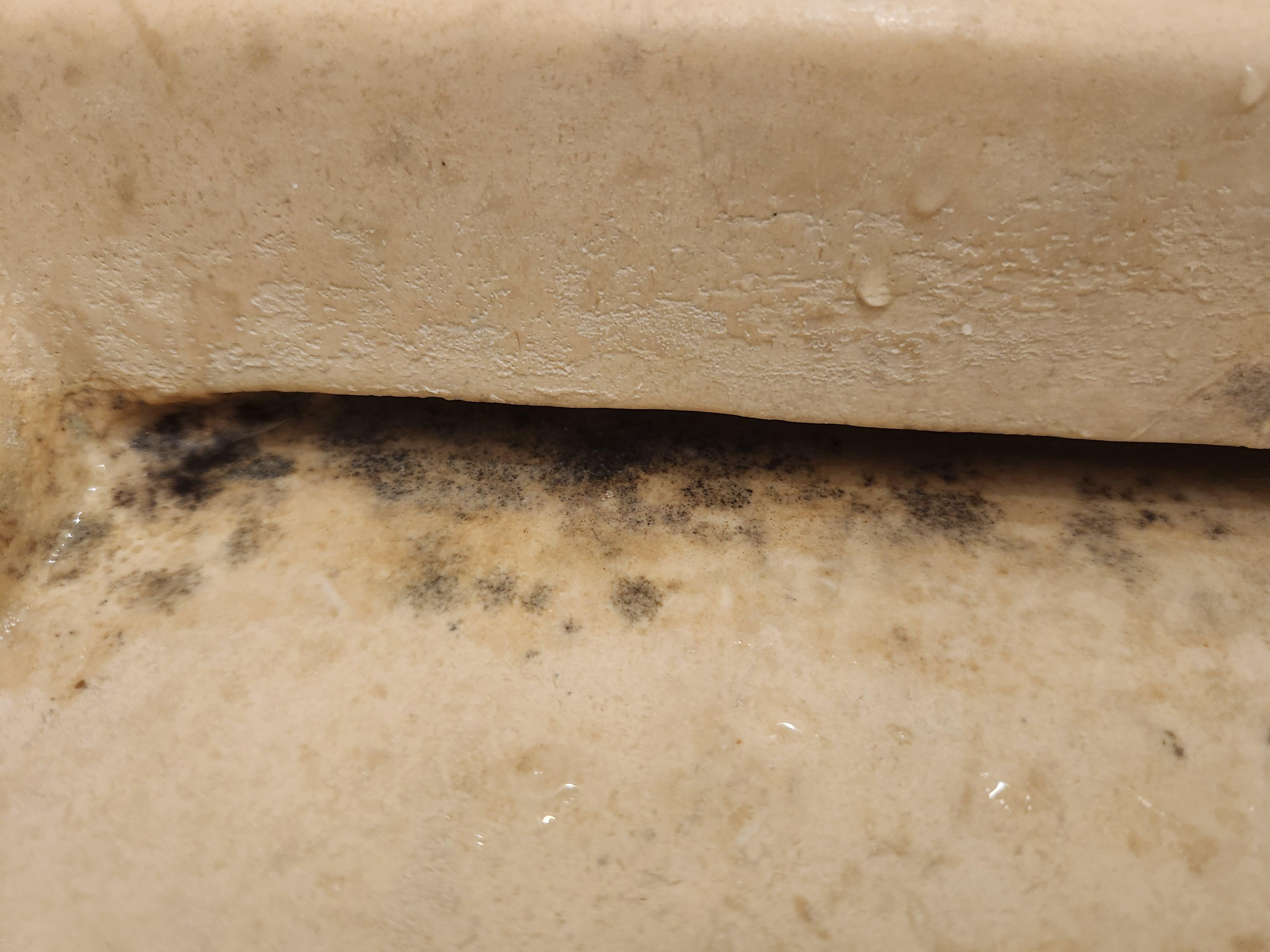 Mold in sink