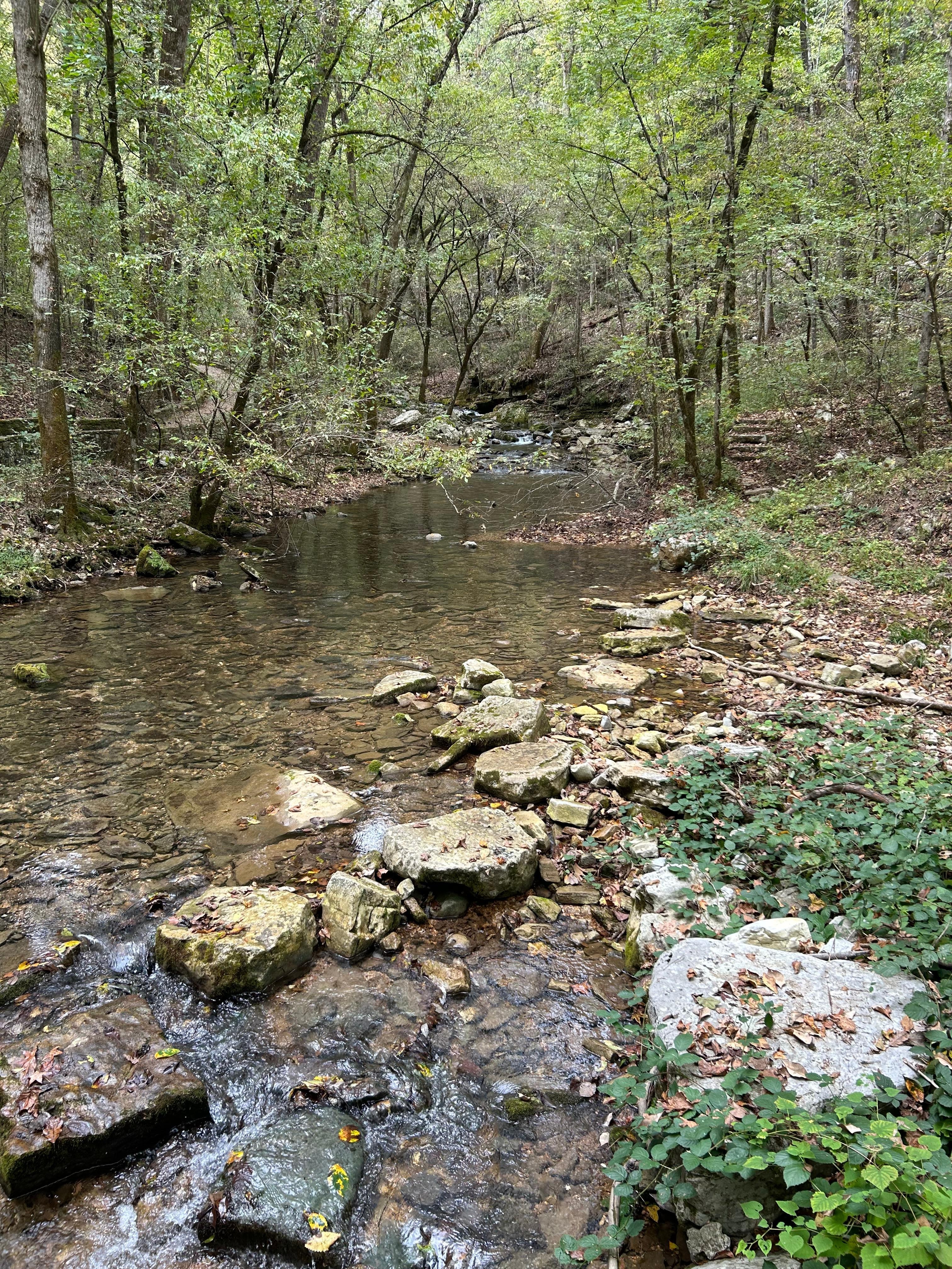 A walk at Blanchard Springs 