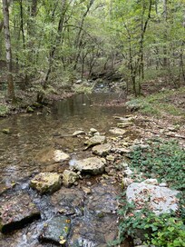 A walk at Blanchard Springs