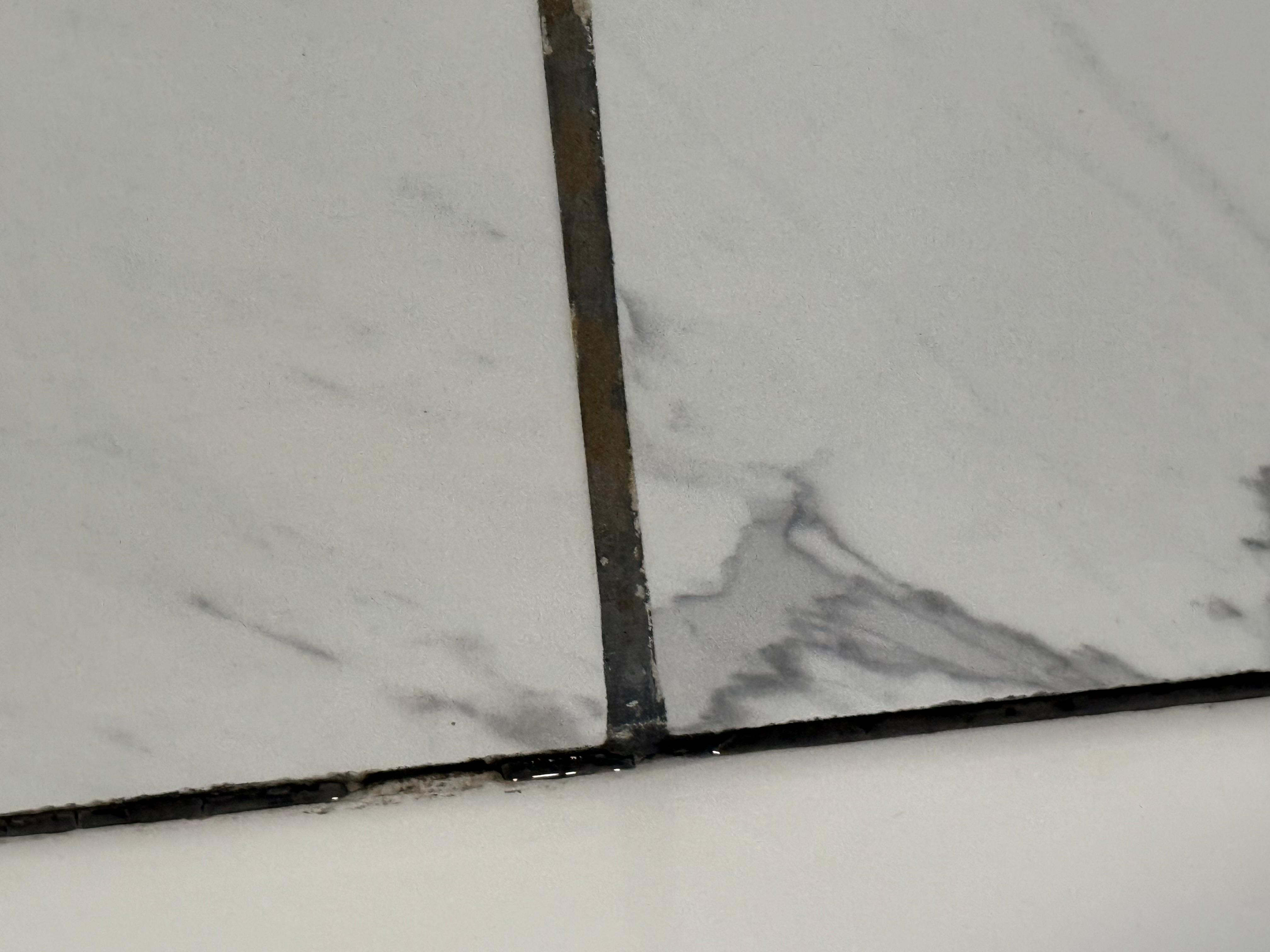 Black mold in shower.