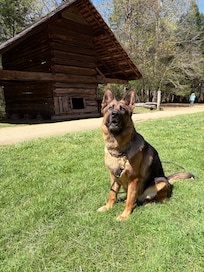Welcome center at Cades Cove community