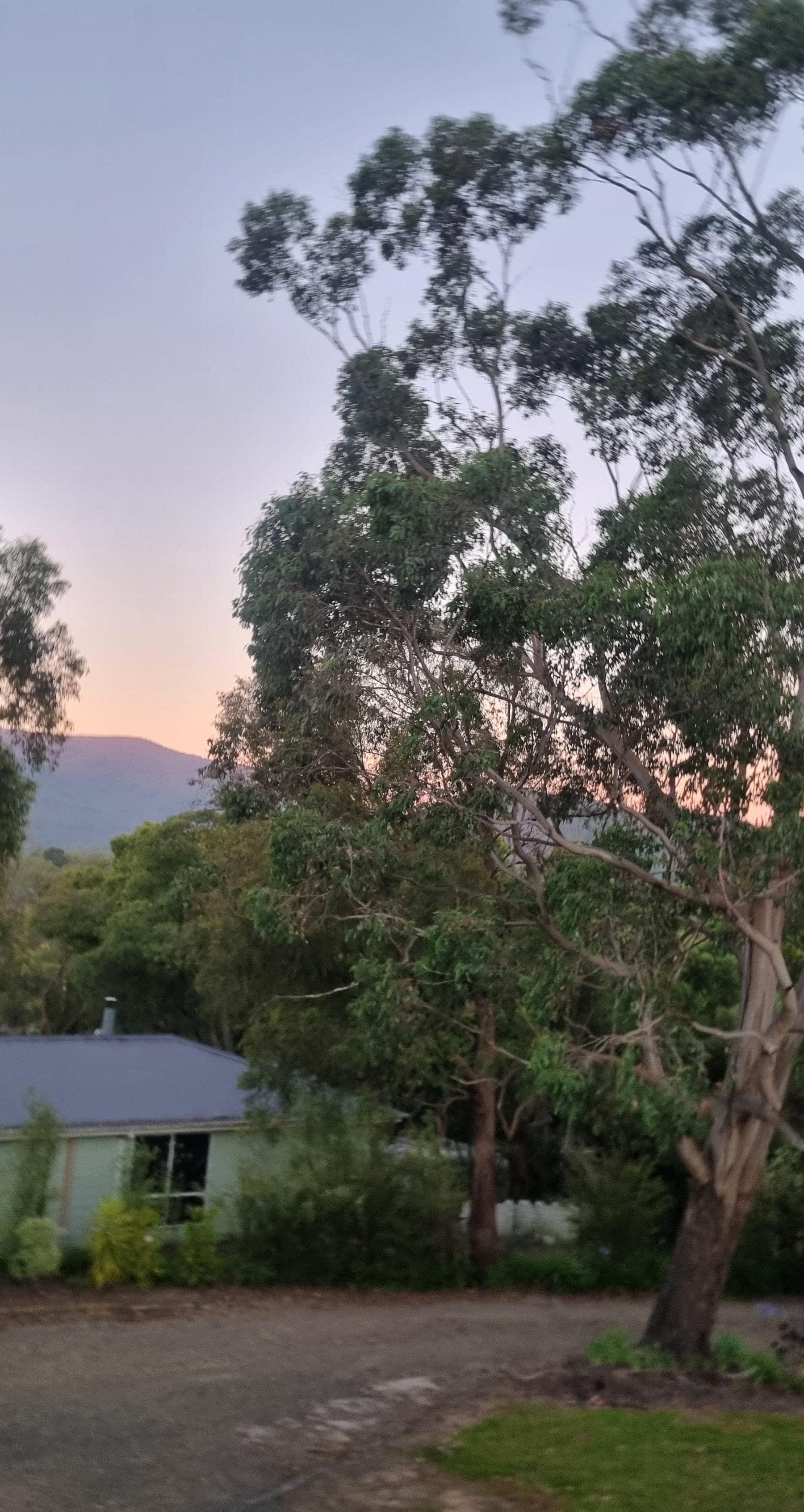 View from front deck