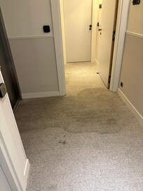 stains on the carpet