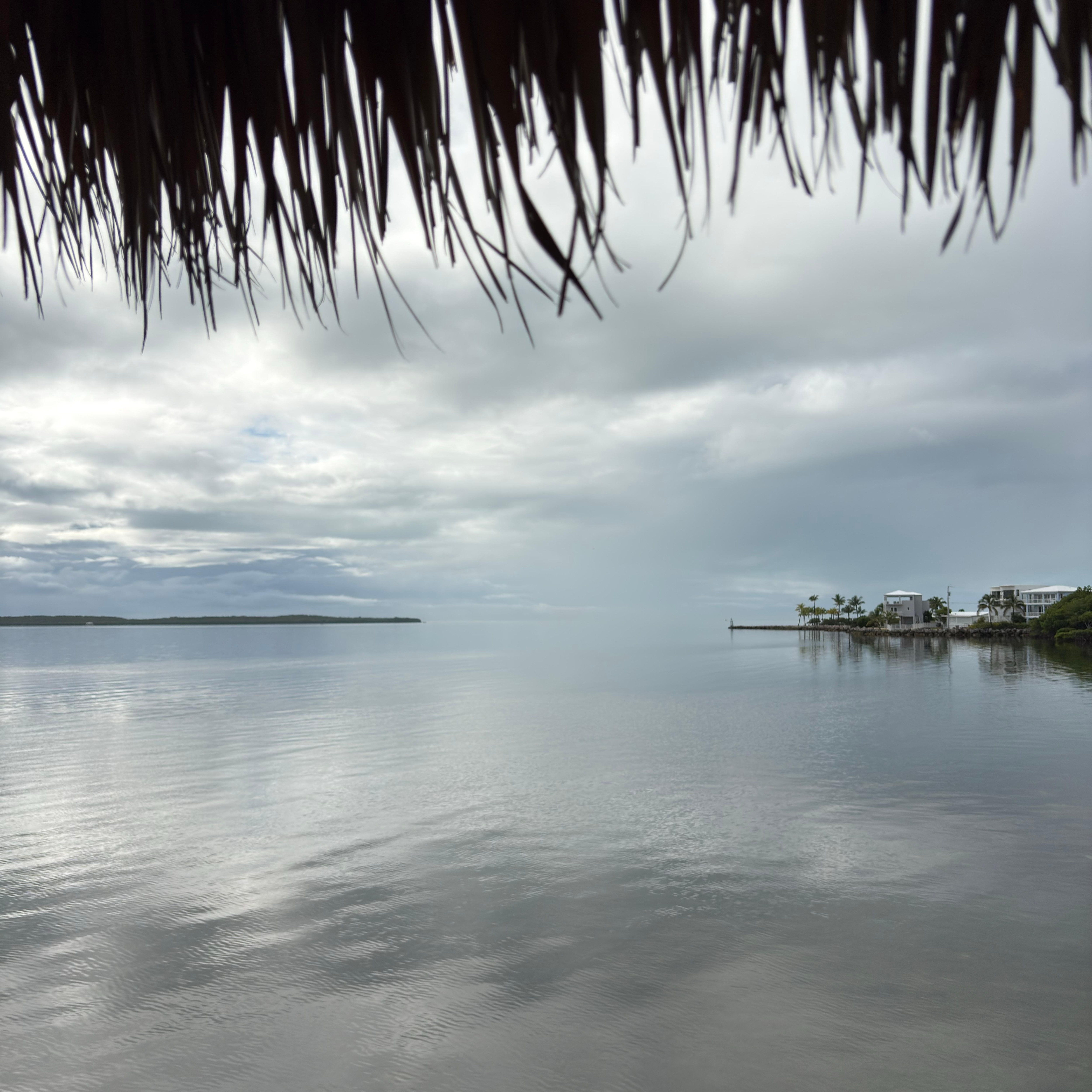 View from the pier at the marina 