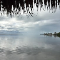 View from the pier at the marina