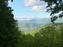 View from deck